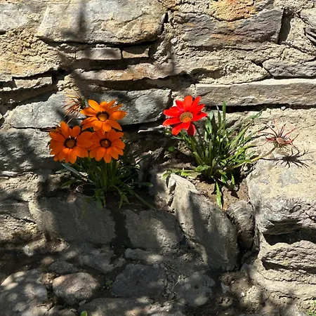 Roncaiola Kır Evi *