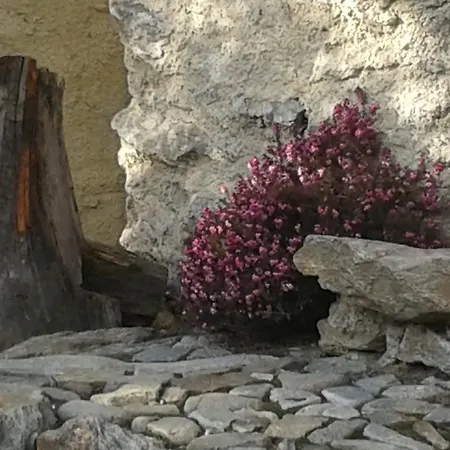 Casa di campagna Roncaiola *