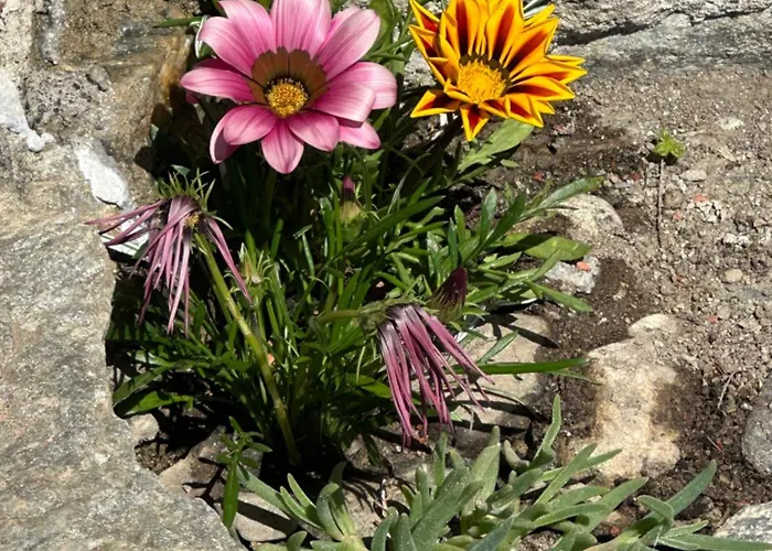 Roncaiola Kır Evi