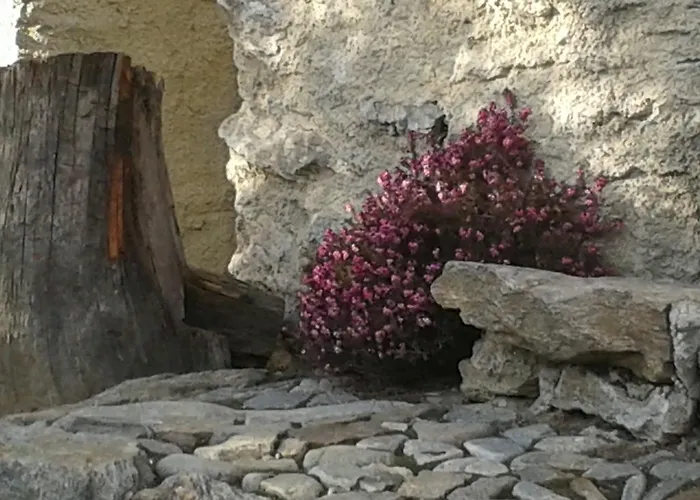 Kır Evi Roncaiola *